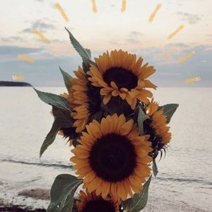 Meet your Posher, Lina